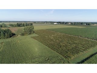 Van Buren County, Michigan Farmland - LAND AUCTION - 300+/- ACRES SPECIALTY CROP - GRAPES AND HOPS - OFFERED IN 8 TRACTS IN VAN BUREN COUNTY, MICHIGAN